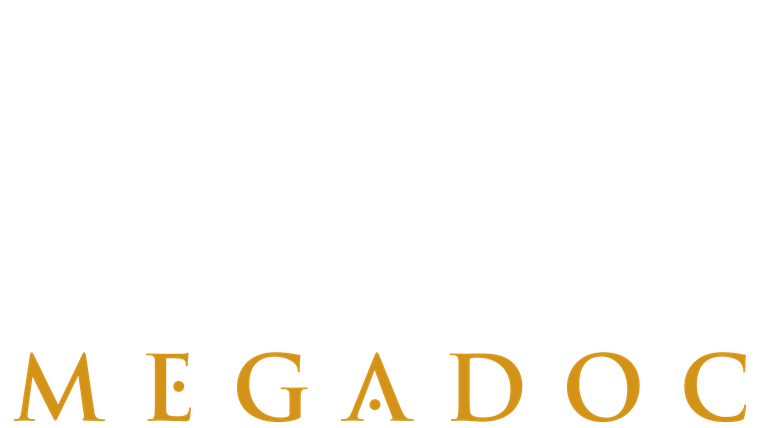 MegaDoc