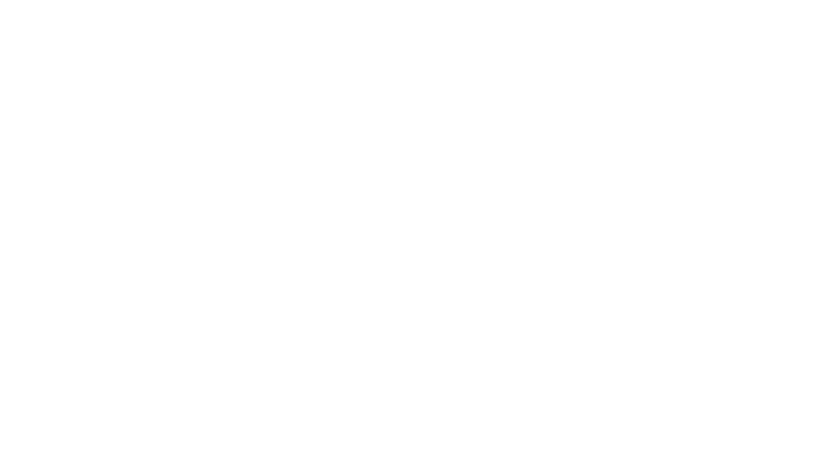 Soul on Fire