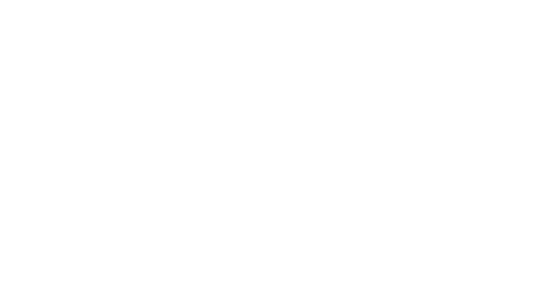 Le Roi Soleil