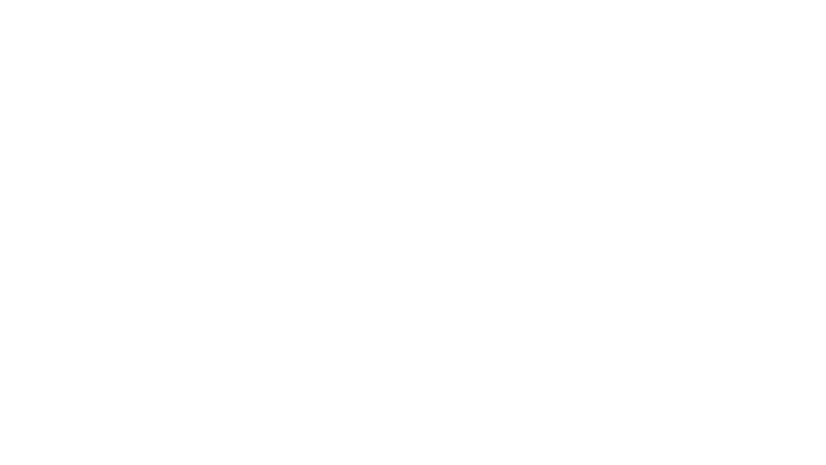 A Big Bold Beautiful Journey