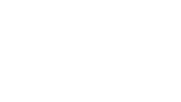 The Astronaut