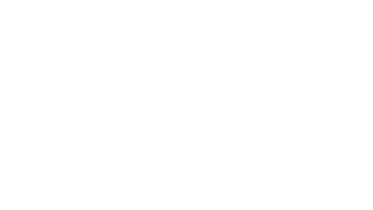 New York : crime organisé