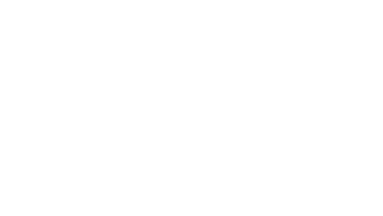 Les poupées russes