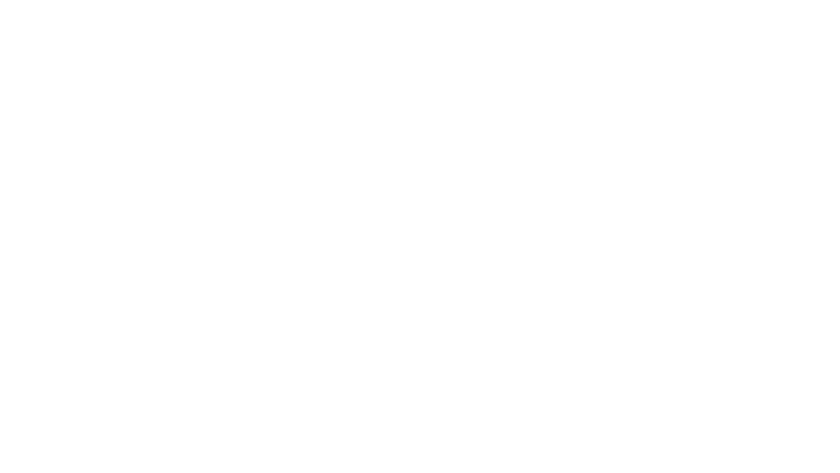 L'affaire Laura Stern
