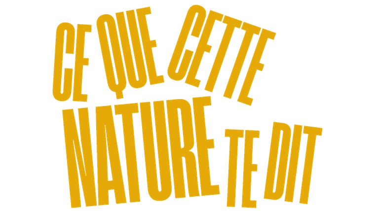 Ce que cette nature te dit