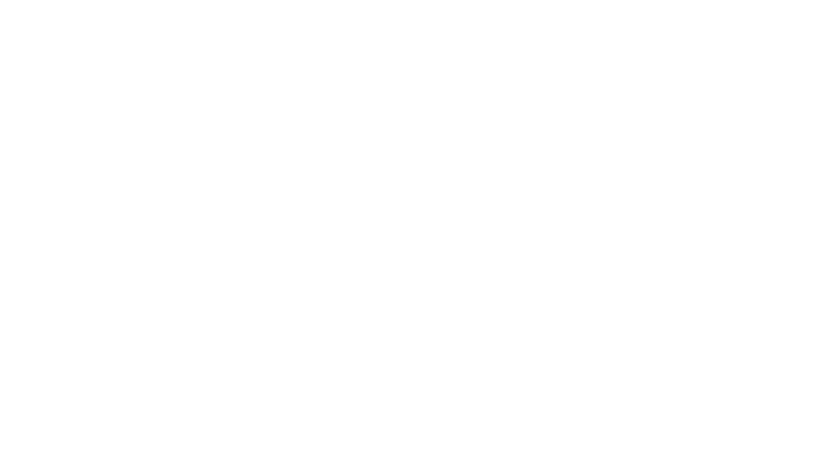 Dossier 137
