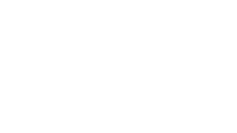 The Final Run
