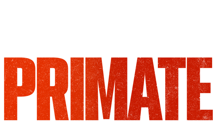 Primate