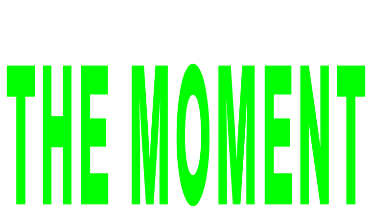 The Moment