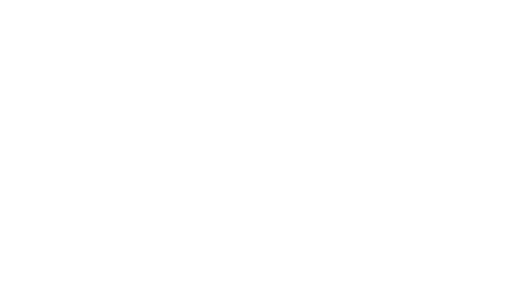 5 centimètres par seconde