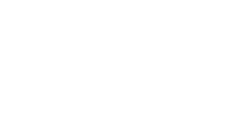 The Town