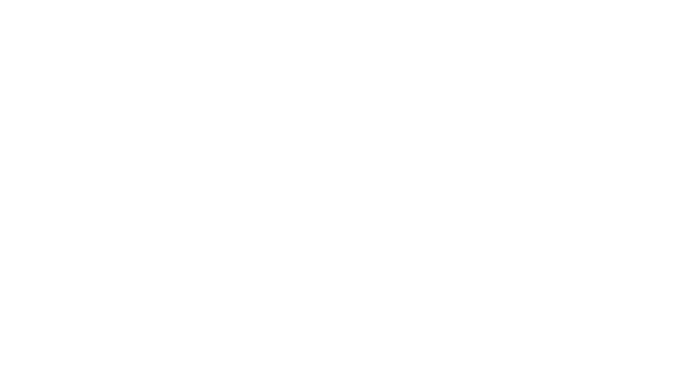 Walkyrie