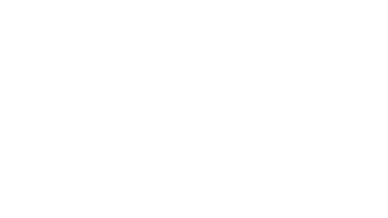 Sur le terrain : Major League Soccer