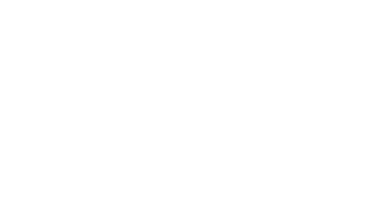 Mr. Scorsese