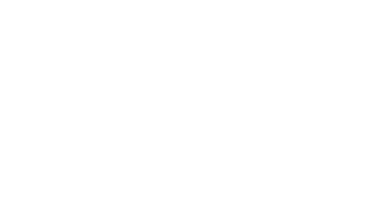 Robot Chicken