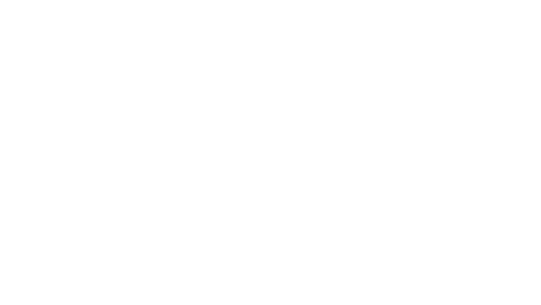 Spirited