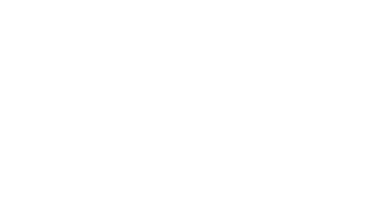Sully