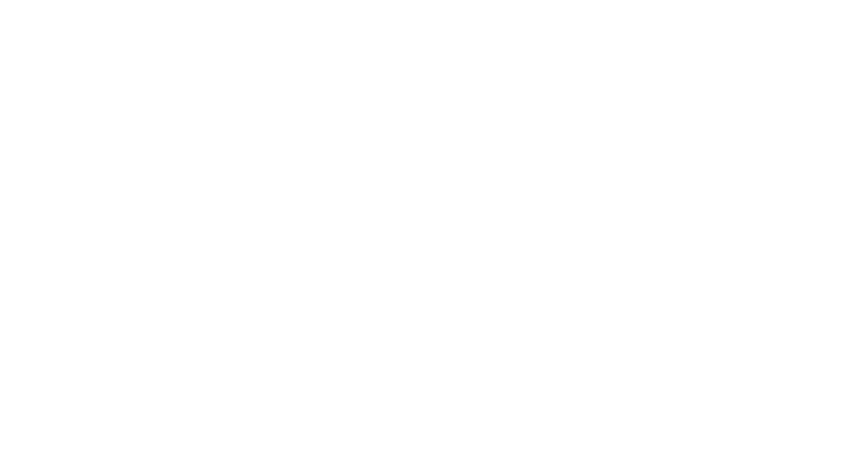 The Wave