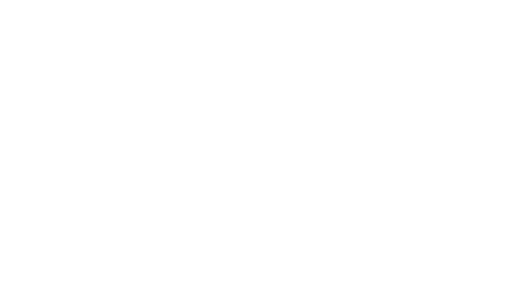 Le Fidèle