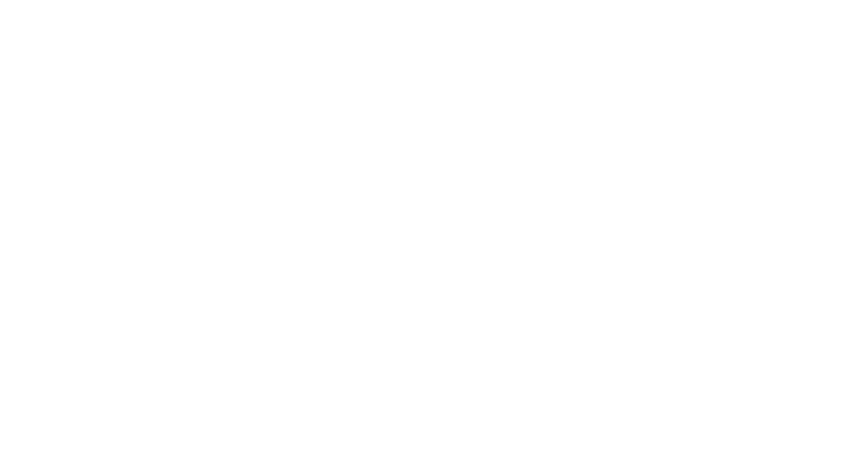 The Knick