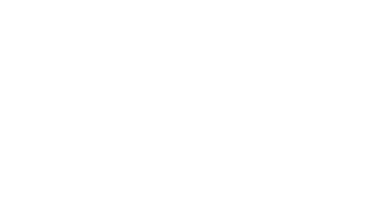 Bad Sisters