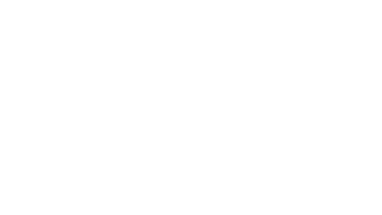 Foundation