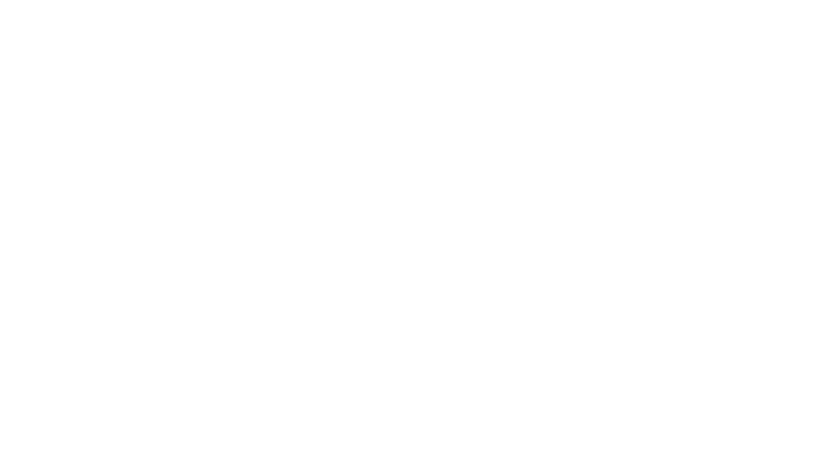 Napoléon : version longue