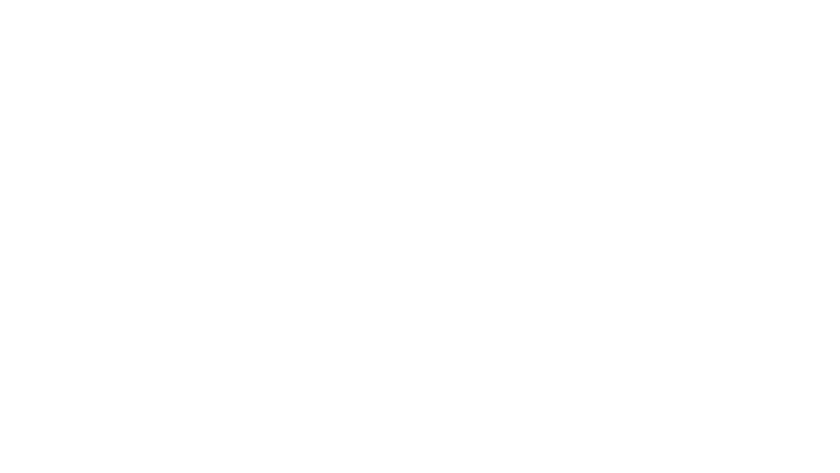 The Bloody Hundredth : la 100e escadre