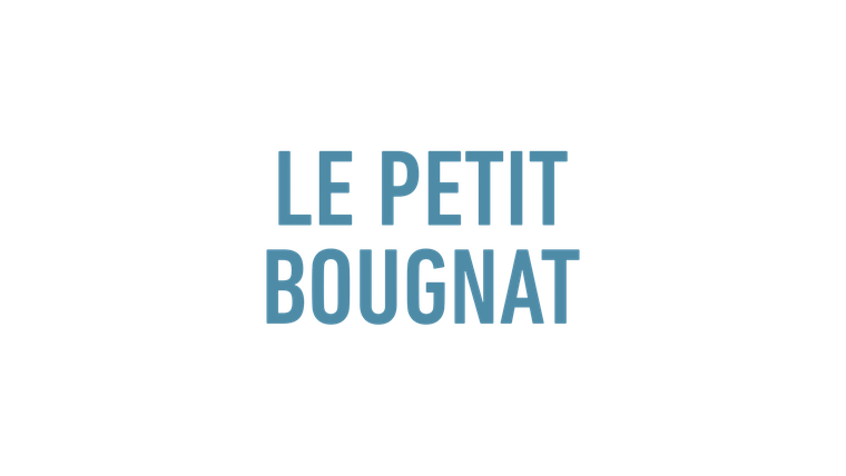Le petit bougnat