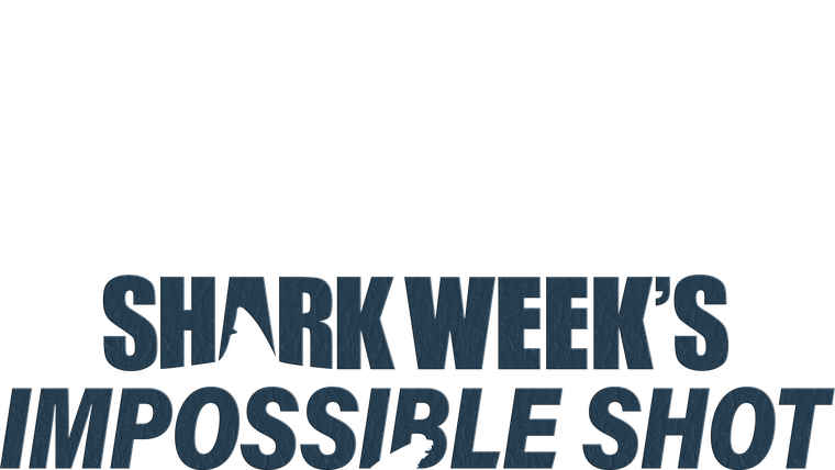 Grand requin blanc : du jamais vu