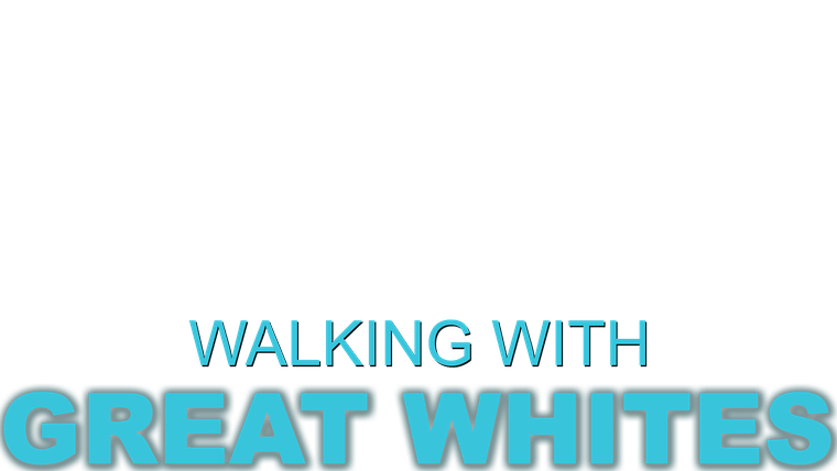 Balade avec les Grands Requins Blancs