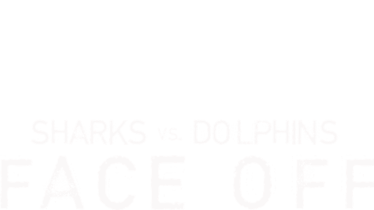 Requins vs. Dauphins