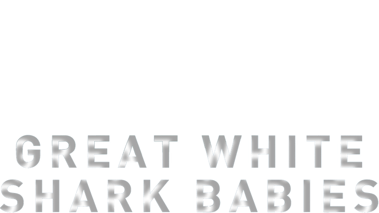 Guadalupe : la nurserie des Grands Blancs