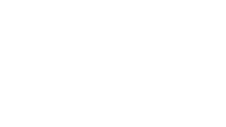 Killer Elite
