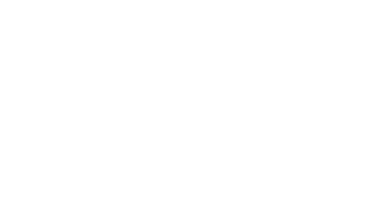 Le 12ème Homme