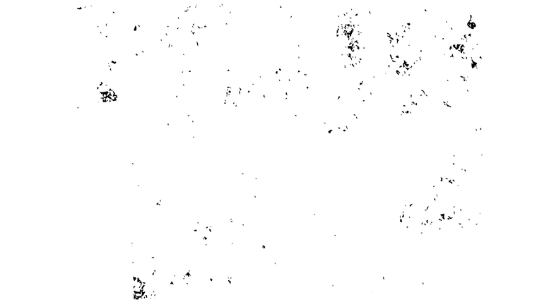 Pour elle