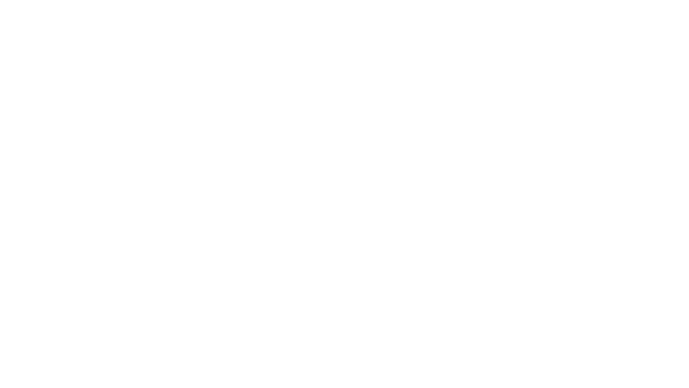 L'histoire du kimchi