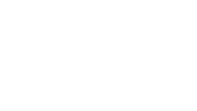The Wizard of Lies