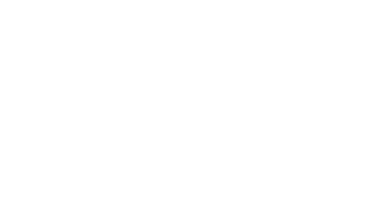Le critique (El Crítico)
