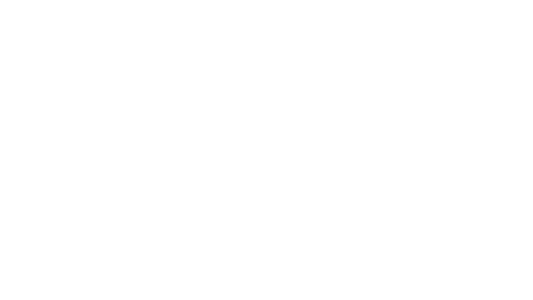 The Ringleader: The Case of the Bling Ring