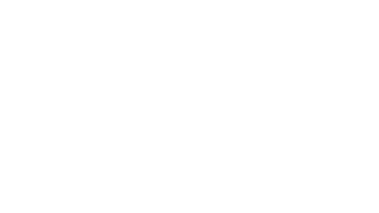 Une révolution sur toile