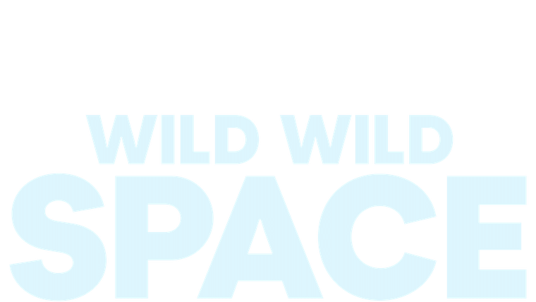 Wild, Wild Space