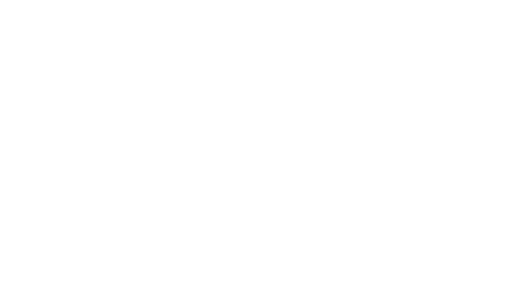Boomerang