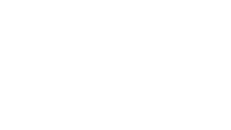 Fast Charlie