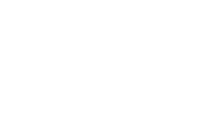 Tournée des Lions : Australie 2025