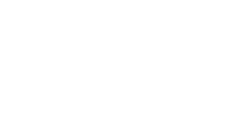 La Princesse de Montpensier