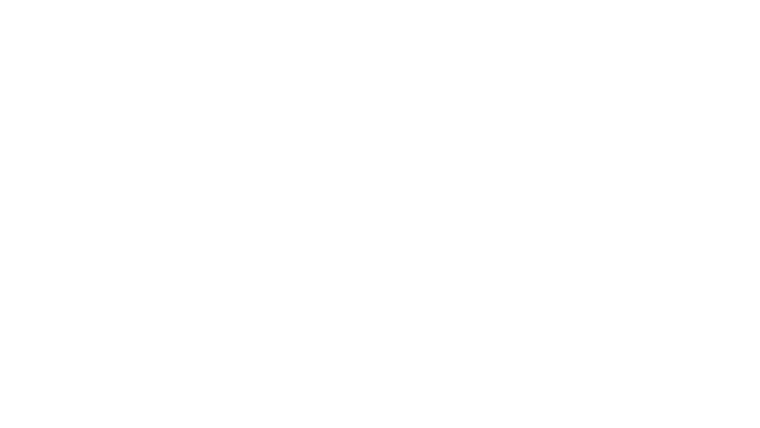 American Guns