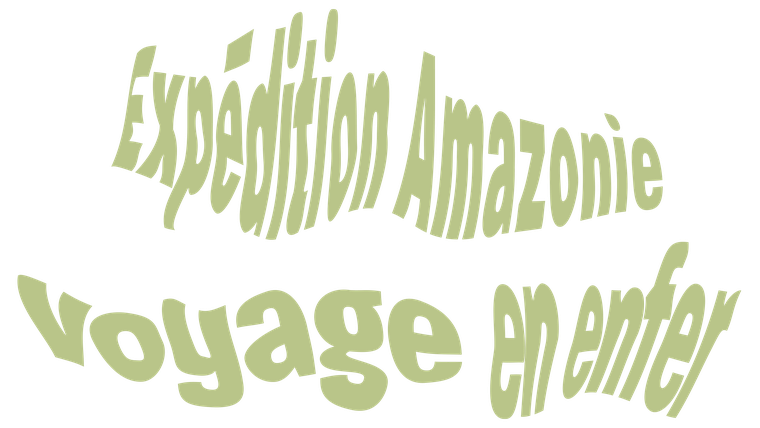 Expédition Amazonie : voyage en enfer