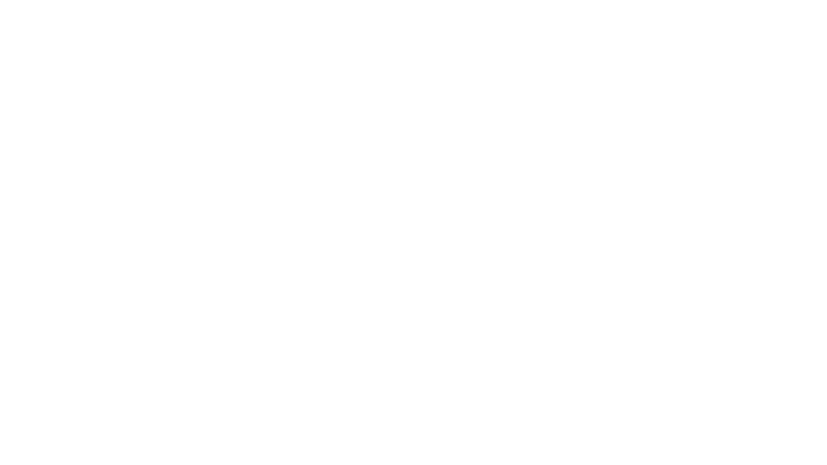 Alina : traqueuse d'indices