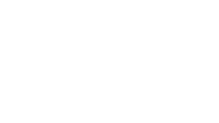 Les défis impossibles d'Adam Savage